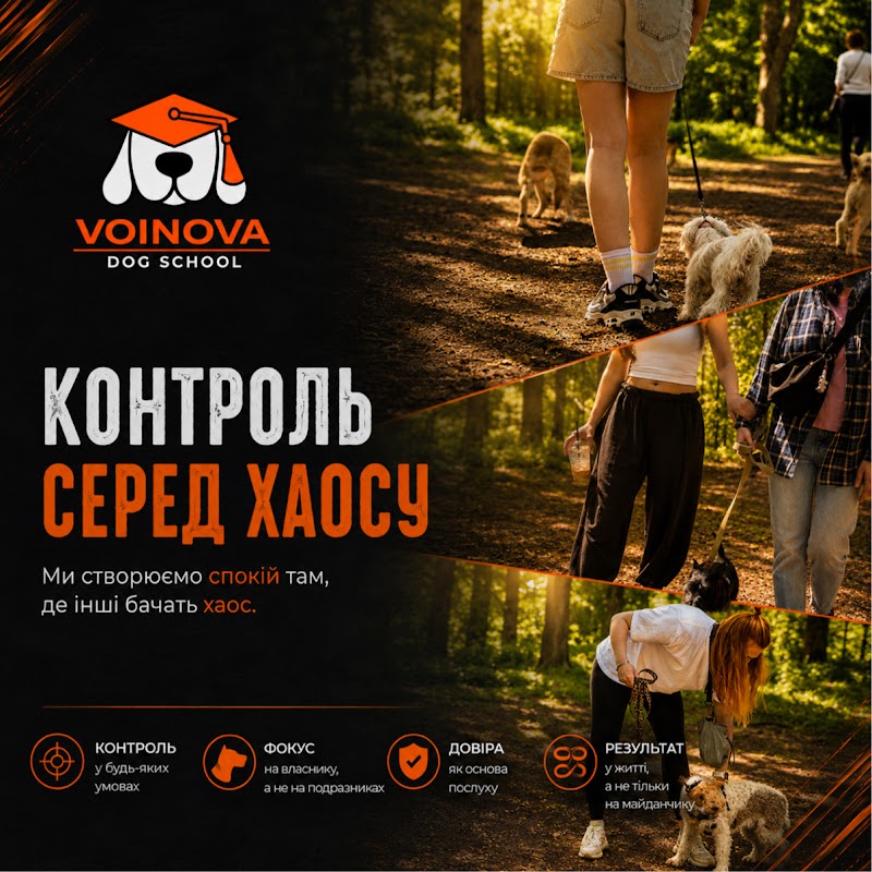 Дресирування собак VOINOVA DOG_SCHOOL