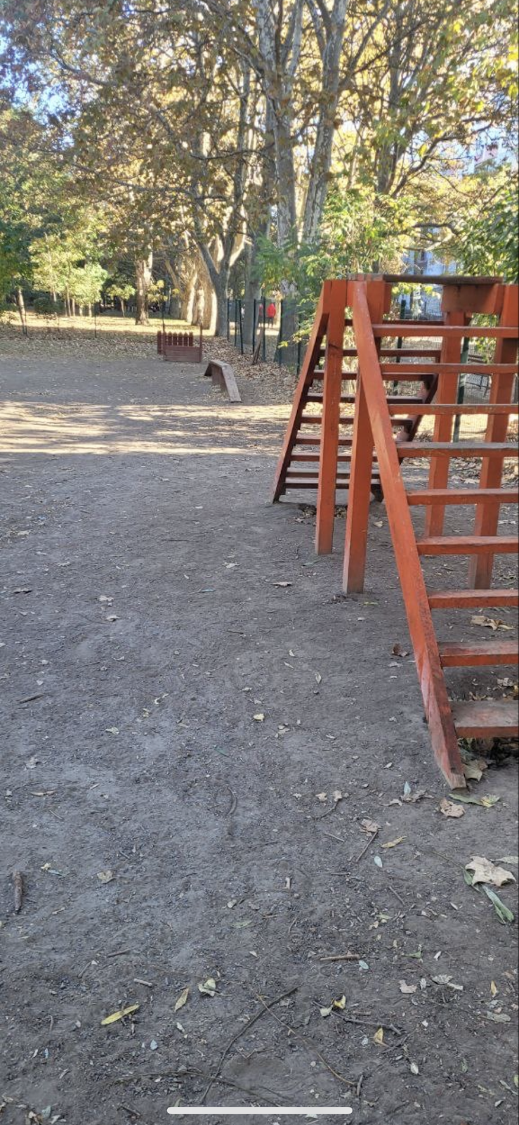 Школа службового собаківництва. МГБ.