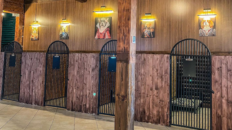 DOG PALACE - Одеський готель для собак
