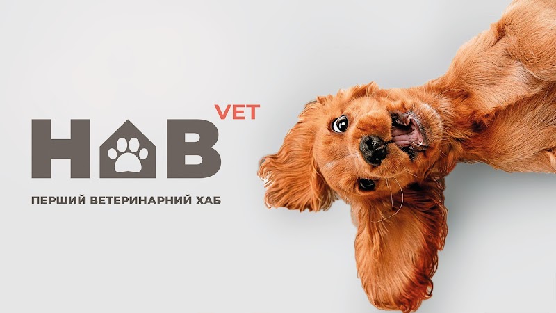 HAB vet | Перший ветеринарний хаб