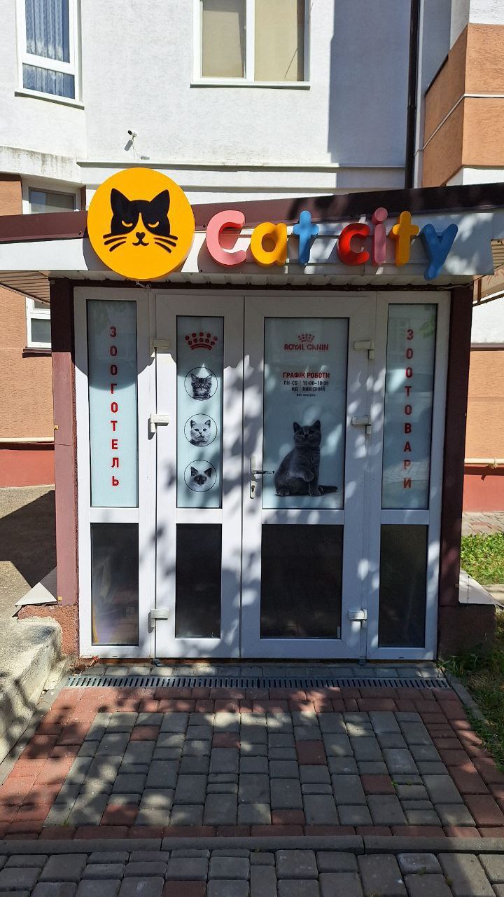 Зооготель Cat city