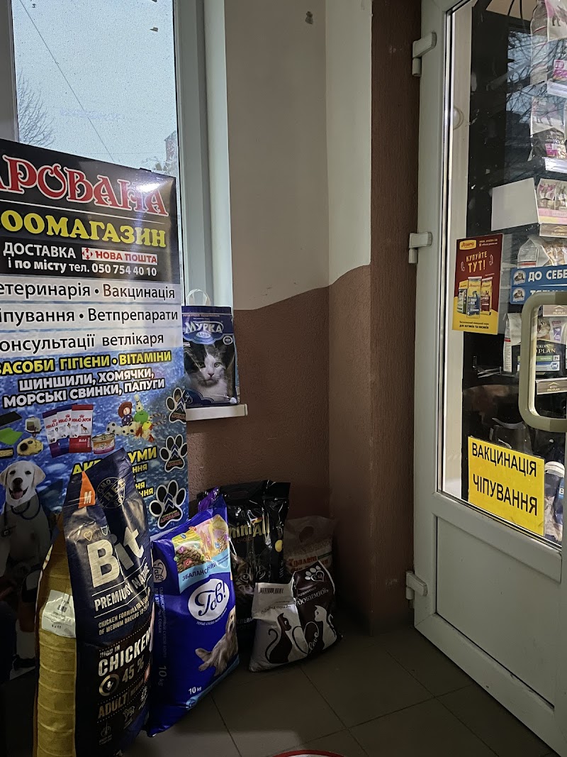 Зоомагазин