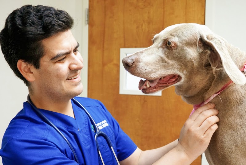 Double Oak Mountain Animal Hospital