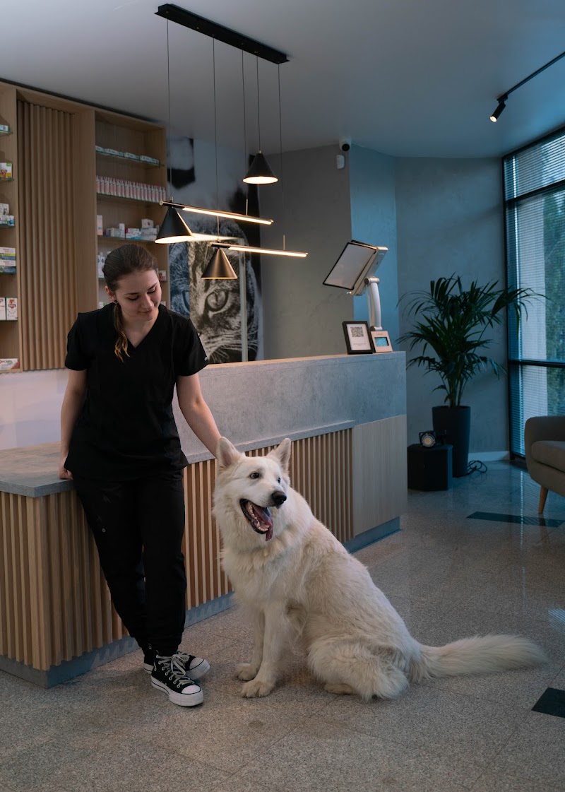 Vet For Pet