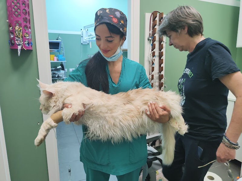 Clinica Veterinaria Colleverde Vet H24