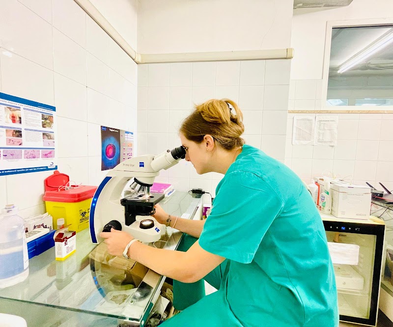 Clinica Veterinaria Fleming
