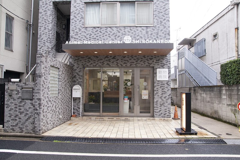 Platinum-dori Pet Clinic