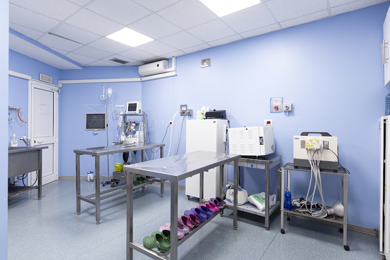 Ospedale Veterinario Croce Azzurra