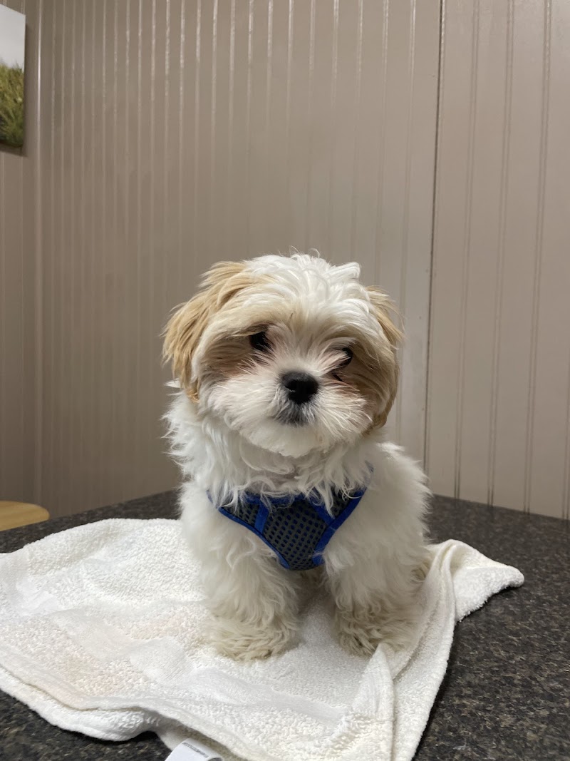 Compton's Veterinary Hospital