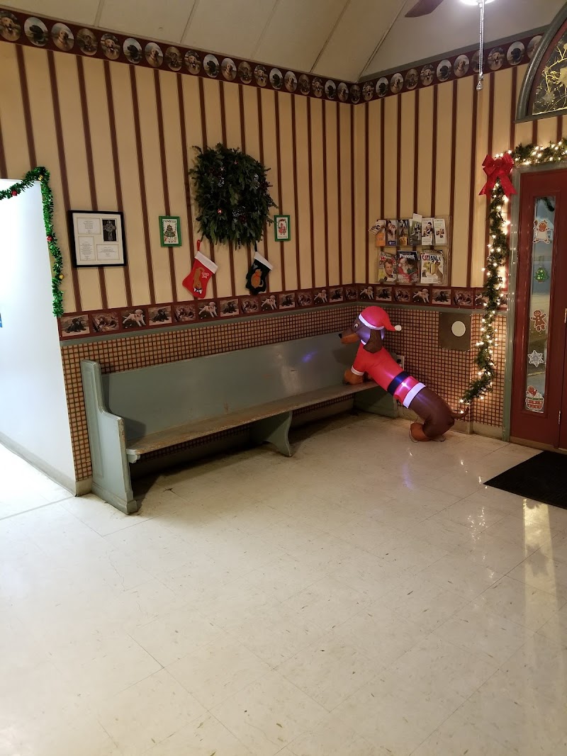 Shelby Animal Clinic