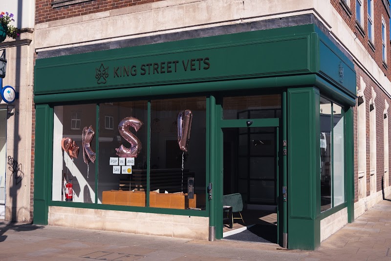 King Street Vets Twickenham