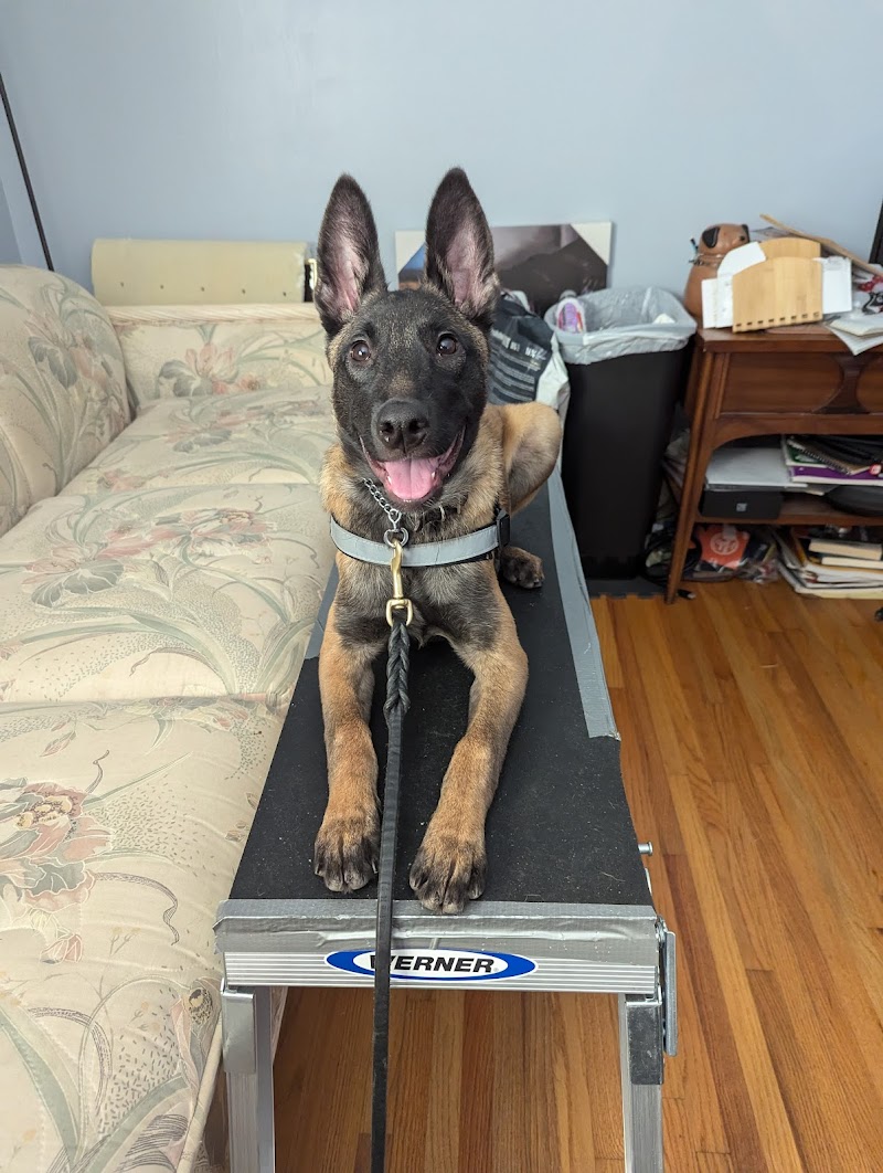 Crestline Pet Care PC