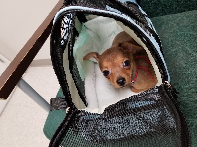 Branchville Animal Hospital