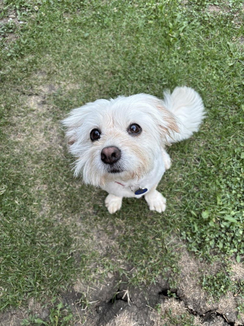 BB Veterinary