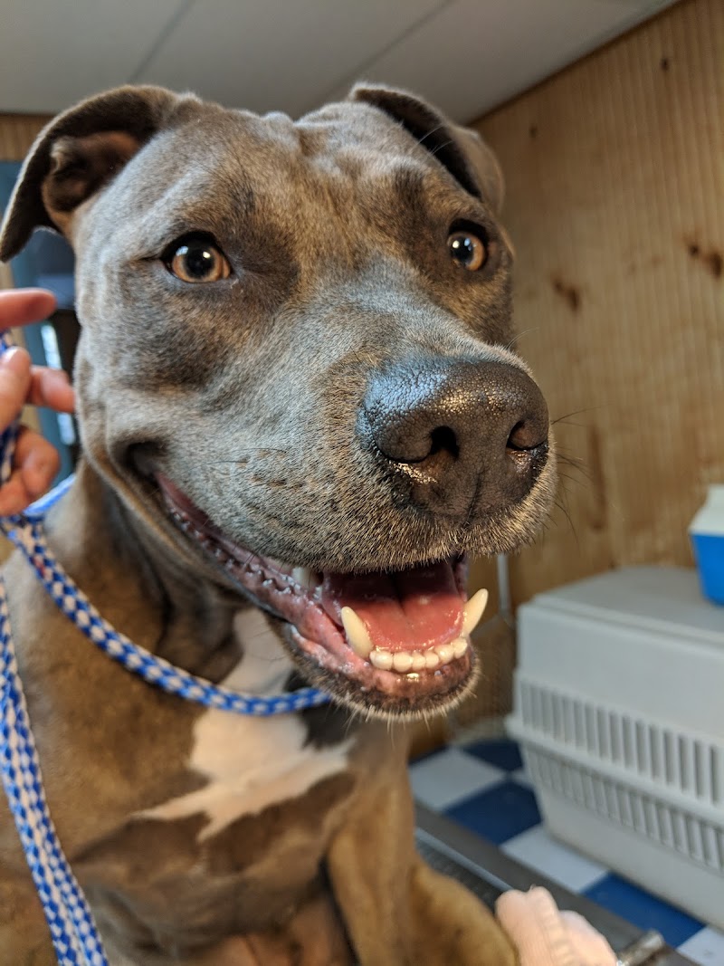 McCrory Animal Clinic