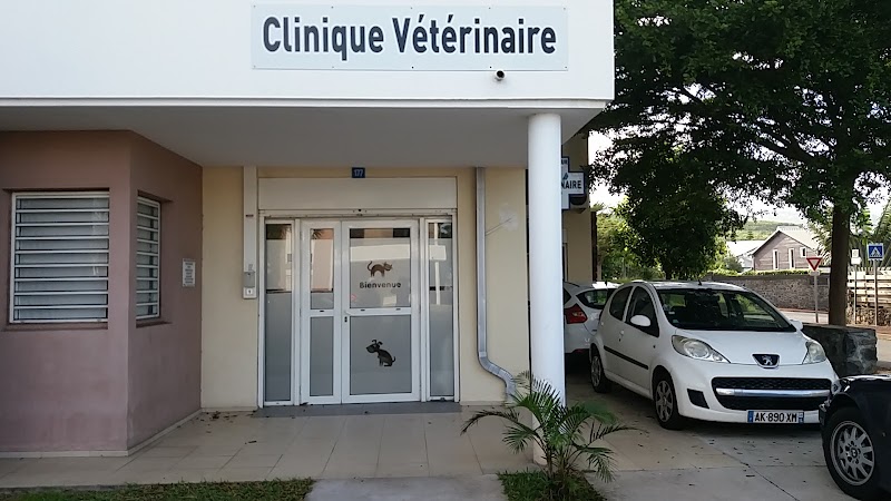Clinique veterinaire Gatto Rosso