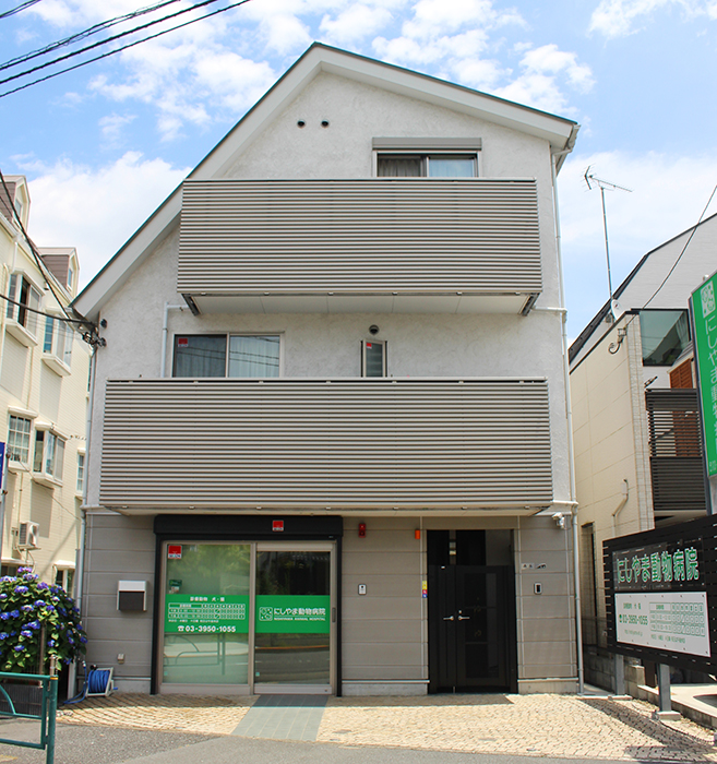 Nishiyama Veterinary Hospital