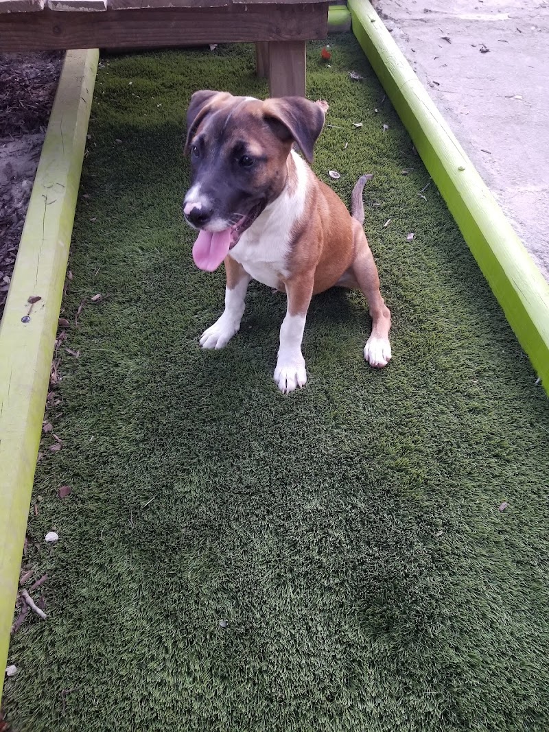 Total Pet Care Hospital