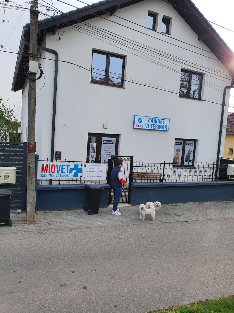 Canis Vet