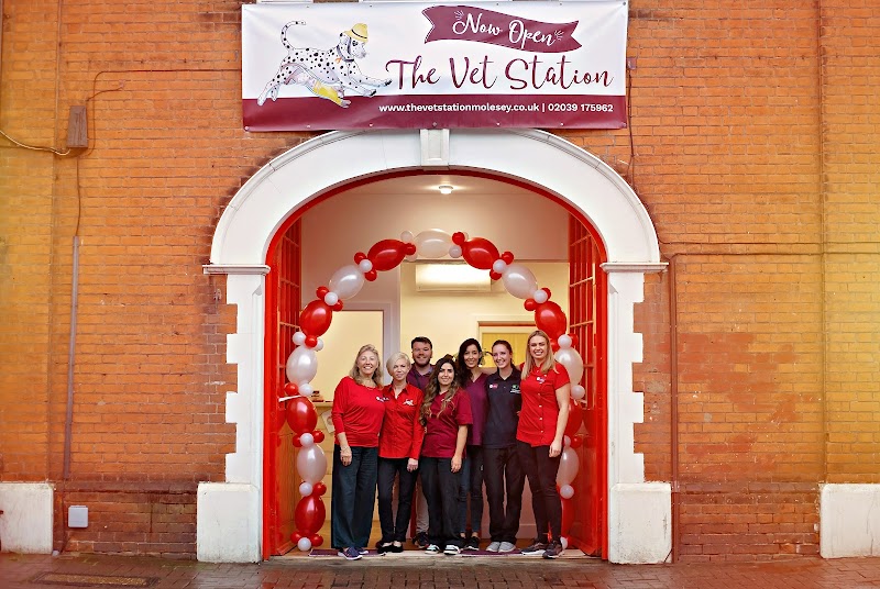 The Vet Station Molesey