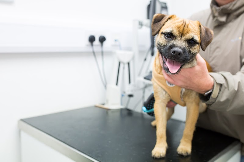 Wellpet Veterinary Practice