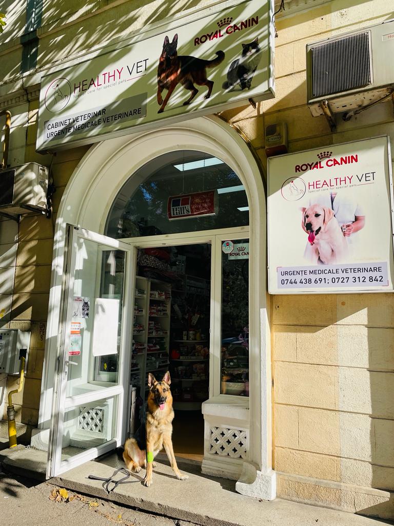 Cabinet Veterinar Bucurestii Noi - Healthy VET Bucurestii Noi