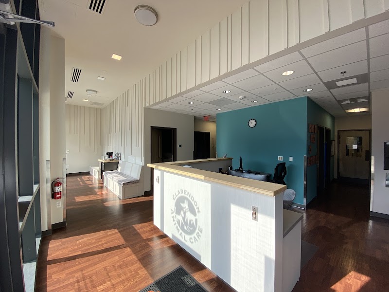 Clarendon Animal Care South Arlington