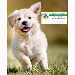Cabinet Veterinar Family Vet Plus- Dr. Benke Mihai si Andreea