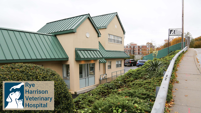 Rye Harrison Veterinary Hospital