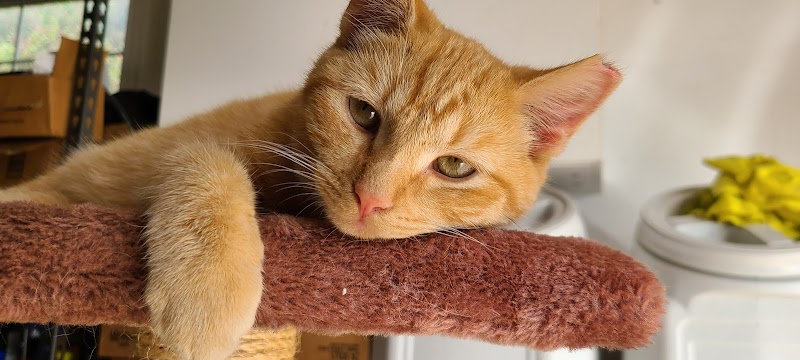 Calhoun County Veterinary Clinic