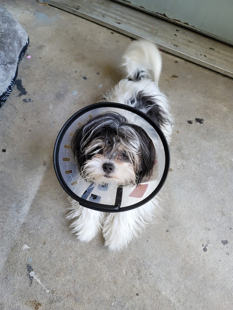 Bessemer Pet Clinic