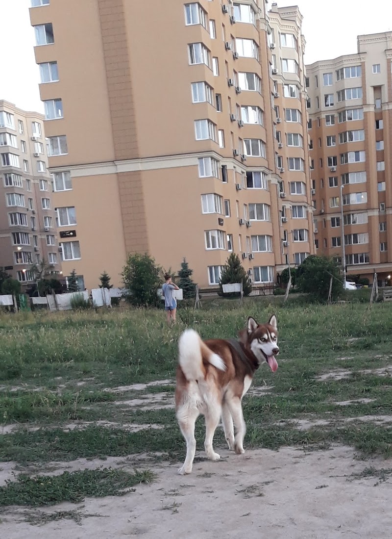 Майданчик для вигулювання собак