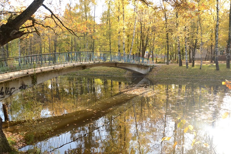 Міський парк ім. Шевченка