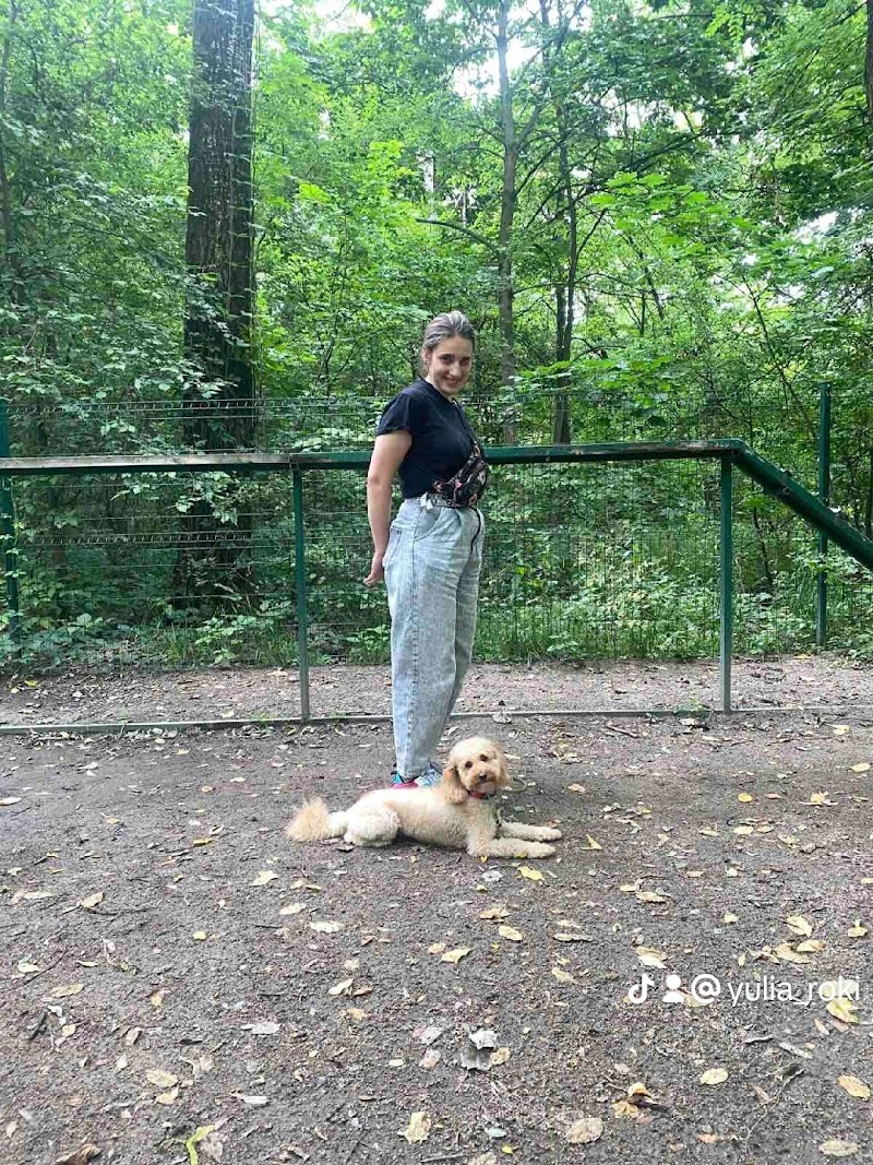 Острівець вільних та вихованих