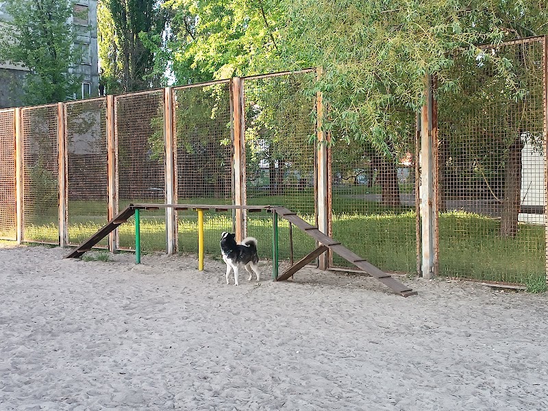 Dog Park near Stadium